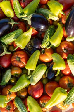 İçinde domates, salatalık ve biber olan sebzeler. Zenginlik ve tazelik kavramı