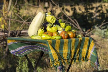 Yeşil ve sarı masa örtüsüyle kaplı bir masa, kabak, biber ve domatesler de dahil olmak üzere sebzelerle doludur.