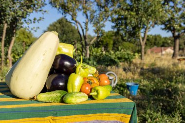 Kabak, domates ve biber içeren sebze dolu bir masa. Sebzeler taze ve renkli, ve masa yemyeşil bir alana kurulmuş.