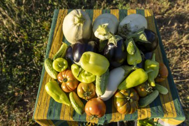 Domatesler, salatalıklar ve biberlerle dolu bir masa. Masa yeşil biber, sarı biber ve beyaz kabak gibi çeşitli sebzelerle kaplıdır.