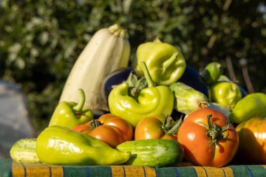 Domatesler, salatalıklar ve biberlerle dolu bir masa. Sebzeler birikmiş ve taze ve davetkar görünmeleri için düzenlenmiş. Sahne bolluk ve sağlıklıdır.