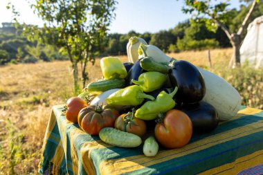 Domates, salatalık ve kabakla dolu bir masa. Masa, arka planda mavi gökyüzü olan bir alanda ayarlandı