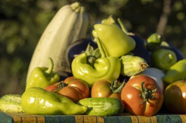 Domates, biber ve kabakla dolu bir masa. Masa örtüsü yeşil ve sarı.