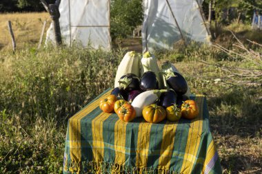 Bir masa domates, kabak ve patlıcan gibi çeşitli sebzelerle kaplıdır. Sahne arka planda bir serayla birlikte bir tarlada çekiliyor. Masa çimenler ve ağaçlarla çevrili.