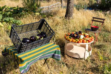 İçinde bir sepet sebze ve bir kase domates olan bir masa. Sepette, bazıları henüz olgunlaşmamış olan çeşitli sebzeler var.