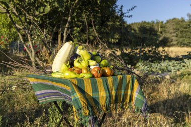 Üzerinde domates, biber ve kabak gibi çeşitli sebzeler olan bir masa. Sahne yeşil ve sarı bir masa örtüsü ve yakınındaki bir bankla bir tarlada geçiyor. Sahne huzurlu ve davetkâr.
