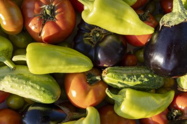 Bir yığın içinde domates, salatalık ve biber gibi çeşitli sebzeler sergilenir. Bereket ve tazelik kavramı, sebzeler olgunlaşmış ve yenmeye hazır.