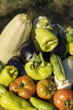 Domates, salatalık ve biber gibi çeşitli sebzeler üst üste yığılır.