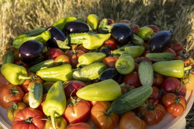 Domates, salatalık ve biber gibi çeşitli sebzeler ahşap bir masaya yayılır.