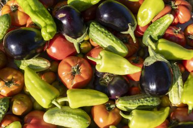 İçinde domates, salatalık ve biber olan sebzeler. Sebzeler üst üste yığılıp renkli ve canlı bir sahne yaratıyorlar.