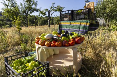 Domates, biber ve kabak gibi çeşitli sebze ve meyvelerle dolu bir masa bir tarlaya yerleştirilir. Sahne sakin ve sakin, güneş tepemizde parıldıyor.