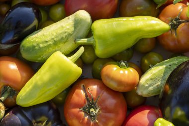 Bir yığın içinde domates, salatalık ve biber gibi çeşitli sebzeler sergilenir. Bereket ve tazelik kavramı, sebzeler olgunlaşmış ve yenmeye hazır.