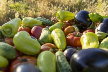 İçinde domates, salatalık ve biber olan sebzeler. Sebzeler üst üste yığılmış.
