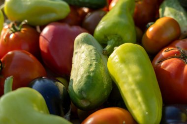 İçinde domates, salatalık ve biber olan sebzeler. Biberler yeşil ve sarı.