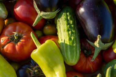 İçinde domates, salatalık ve biber olan sebzeler. Sebzelerin hepsi farklı renk ve boyutlarda.