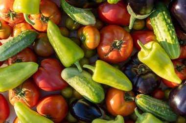 Bir yığın içinde domates, salatalık ve biber gibi çeşitli sebzeler sergilenir. Sebzelerin renkleri canlı ve düzenleri görsel olarak çekici.