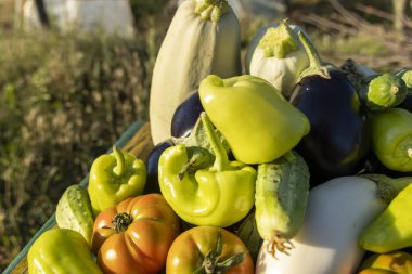 İçinde domates, salatalık ve biber olan bir sepet sebze. Sepet taze ürünlerle dolu ve masaya konuyor.