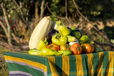 Bir masa domates, biber ve kabak dahil olmak üzere çeşitli sebzelerle kaplıdır. Sebzeler masanın üzerinde üst üste yığıldıkça bolluk ve tazelik kavramı