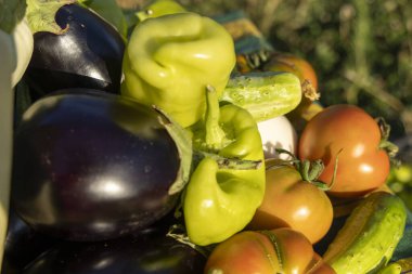 Masada domates, salatalık ve biber gibi çeşitli sebzeler sergilenir. Sebzelerin renkleri canlı ve düzenleri görsel olarak çekici.
