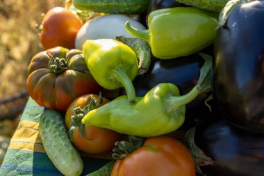 Domates, biber ve salatalık da dahil olmak üzere çeşitli sebzeler üst üste yığılmıştır.