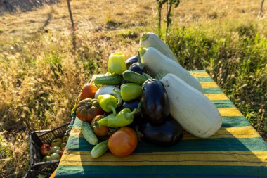 Kabak, salatalık ve domateslerle dolu bir masa. Sebzeler birbiri üzerine yığılıp renkli ve canlı bir görüntü oluşturuyor. Zenginlik ve tazelik kavramı