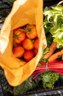 Bir sepet içinde bir torba domates ve havuç sergilenir. Çanta kahverengi, sebzeler kırmızı ve yeşil.