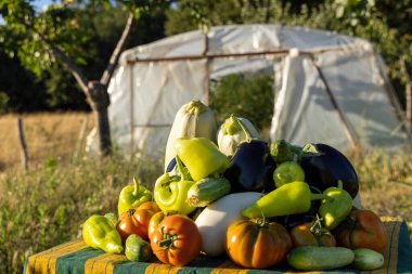 Bir masa dolusu sebze, domates, biber ve salatalık. Sebzeler üst üste yığılınca renkli ve davetkar bir görüntü ortaya çıkıyor. Sahne bolluk hissi veriyor.