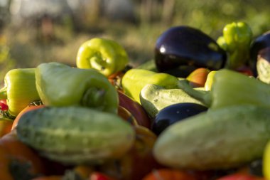 İçinde salatalık, biber ve domates olan sebzeler. Görüntünün parlak ve renkli bir havası var.