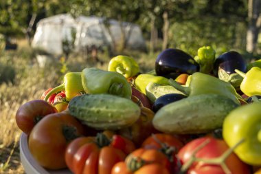 Masada domates, salatalık ve biber gibi çeşitli sebzeler sergilenir. Bereket ve tazelik kavramı, sebzeler olgunlaşmış ve yenmeye hazır.