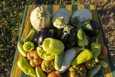 Domatesler, salatalıklar ve biberlerle dolu bir masa. Sebzeler üst üste yığılıp renkli ve canlı bir görüntü oluşturuyor.