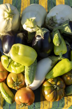 Domates, biber ve salatalık da dahil olmak üzere çeşitli sebzeler üst üste yığılmıştır.