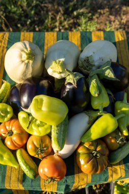 Yeşil ve sarı bir masa örtüsü üzerinde çeşitli sebzeler üst üste yığılır. Sebzeler arasında domates, salatalık, biber ve kabak var. Zenginlik ve tazelik kavramı