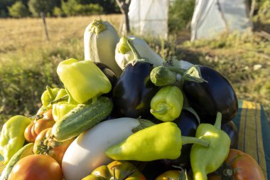 Domates, biber ve salatalık da dahil olmak üzere çeşitli sebzeler üst üste yığılmıştır.