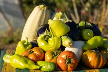 Domates, biber ve kabak gibi çeşitli sebzeler üst üste yığılır. Sebzeler üst üste yığılıp hasat edilmeye hazır olduğu için bolluk ve tazelik kavramı