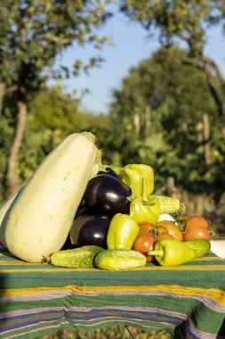 İçinde salatalık, domates ve biberlerin olduğu çeşitli sebzelerle dolu bir masa. Sebzeler bir yığın halinde düzenlenir ve bazıları diğerlerinden daha büyüktür. Zenginlik ve tazelik kavramı