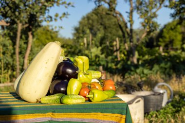 Bir masa salatalık, domates ve biber dahil çeşitli sebzelerle kaplıdır. Sahne bir bahçede geçiyor, yanında bir bank ve bisiklet var.