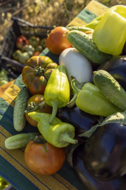 Domatesler, salatalıklar ve biberlerle dolu bir masa. Sebzeler renkli ve davetkar bir şekilde düzenlendi.