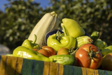 Domates, biber ve kabakla dolu bir masa. Masa örtüsü çizgili ve sebzeler renkli ve davetkar bir şekilde düzenlenmiş.