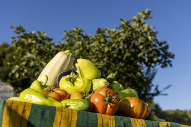 Domates, biber ve kabakla dolu bir masa. Masa güneşli bir günde dışarıda hazırlanır.