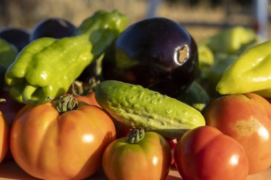 Masada domates, salatalık ve biber gibi çeşitli sebzeler sergilenir. Bereket ve tazelik kavramı, sebzeler olgunlaşmış ve yenmeye hazır.