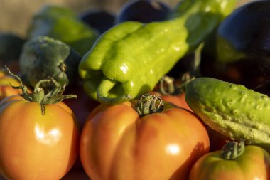 Masada domates, salatalık ve biber gibi çeşitli sebzeler sergilenir. Bereket ve tazelik kavramı, sebzeler olgunlaşmış ve yenmeye hazır.