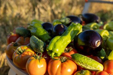 Domates, salatalık ve biber gibi çeşitli sebzeler üst üste yığılır.