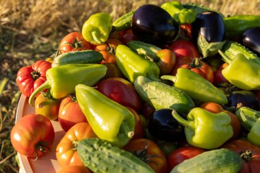 Domates, salatalık ve biber gibi çeşitli sebzeler üst üste yığılır.