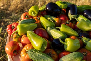 Domates, salatalık ve biber gibi çeşitli sebzeler bir masanın üzerine yayılır. Bereket ve tazelik kavramı, sebzeler olgunlaşmış ve yenmeye hazır.