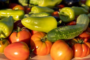 İçinde domates, salatalık ve biber olan sebzeler. Biberler yeşil, domatesler kırmızı.