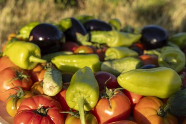 İçinde domates, biber ve salatalık olan sebzeler. Sebzeler masanın üzerinde daire şeklinde dizilir.