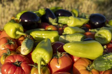 Domates, salatalık ve biber gibi çeşitli sebzeler daire şeklinde dizilir. Sebzeler üst üste yığıldığından ve tüketime hazır göründüğünden bolluk ve tazelik kavramı