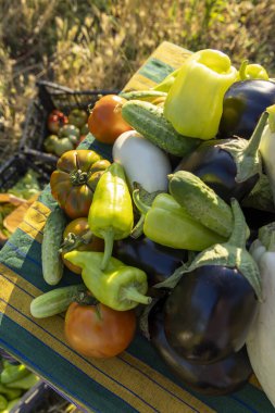 İçinde domates, salatalık ve biber olan bir sepet sebze. Sebzeler bir masanın üzerinde üst üste yığılmış.