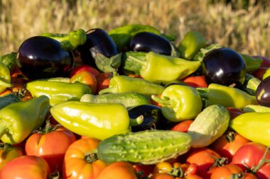 Domatesler, salatalıklar ve biberler üst üste yığılmış.