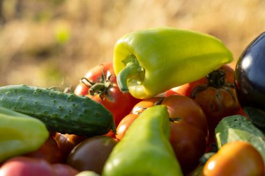 İçinde domates, salatalık ve biber olan sebzeler. Biberler yeşil, domatesler kırmızı.